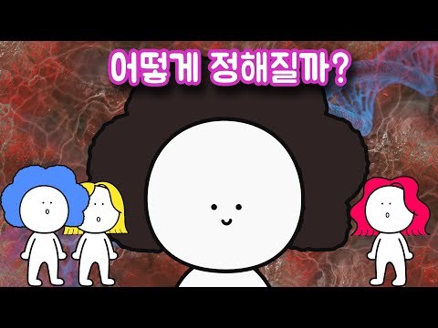 곱슬머리는 어떻게 결정되는 걸까?