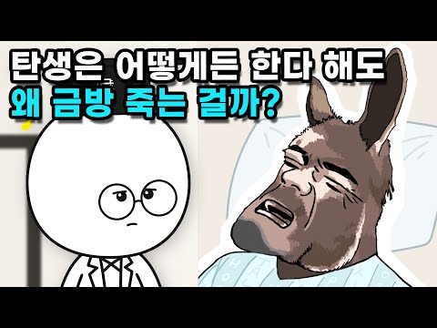 이종교배로 탄생한 동물은 왜 종족 유지를 못할까?