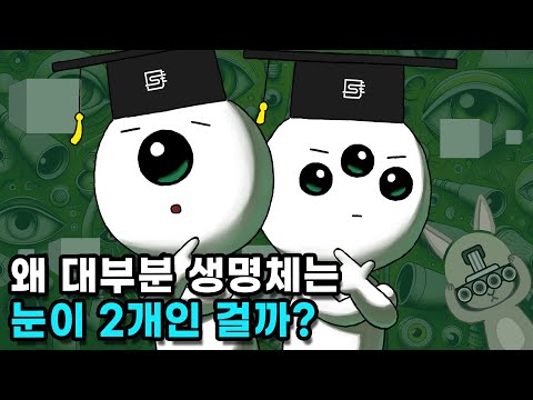 사람의 눈이 3~4개였다면 더 좋지 않았을까?