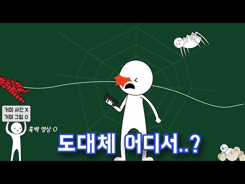 걸어가는 중 거미줄이 걸리는 느낌은 뭘까?