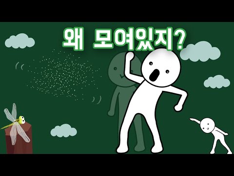 날벌레는 왜 허공에서 떼를 지어 날고 있을까?