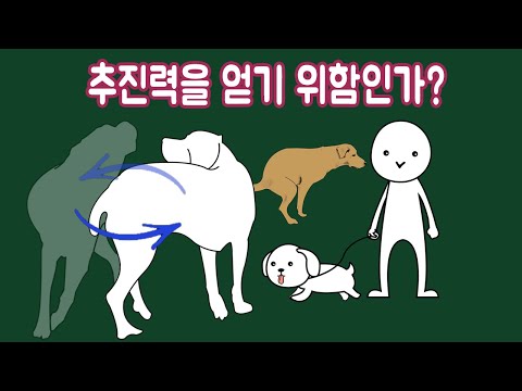 강아지는 왜 똥을 싸기 전에 빙글빙글 돌까?