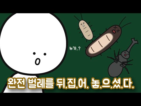 벌레들은 왜 배를 보인 채 죽어 있을까?