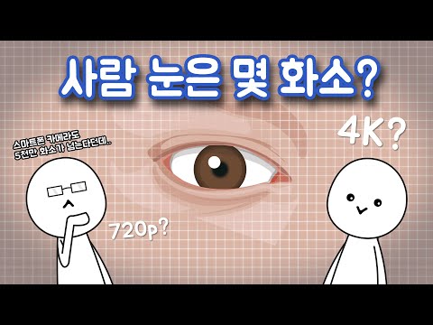 사람의 눈은 몇 화소일까?