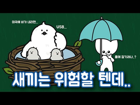 비가 오면 새 둥지는 어떻게 될까?🐣🌧️