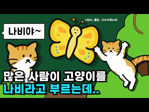 고양이를 왜 &#039;나비야~&#039;라고 많이 부를까?