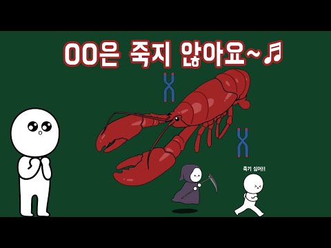 영생하는 생명체가 있을까? -바닷가재편-