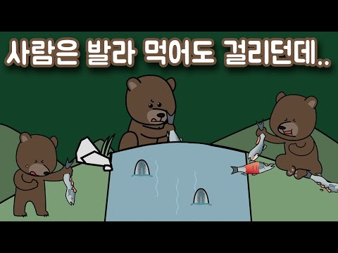 곰이 물고기 먹을 때 목에 가시·뼈 안 걸릴까?