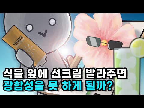 식물 잎에 선크림을 바르면 광합성을 못할까?