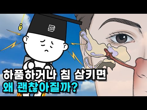 높은 곳에 올라가면 왜 귀가 먹먹해질까?