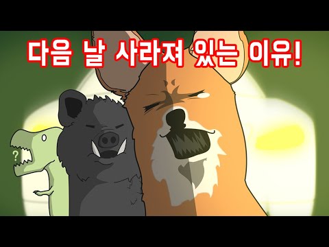 도로의 동물 사체는 어떻게 처리해야 하는 걸까?