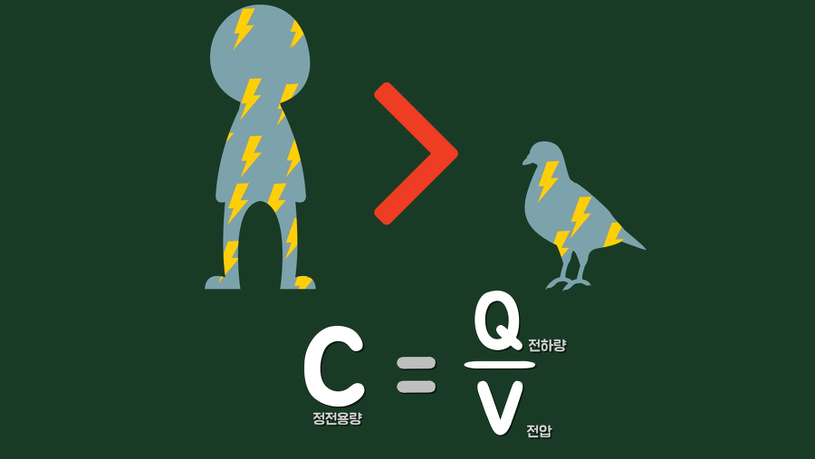 Hanging from a wire 5