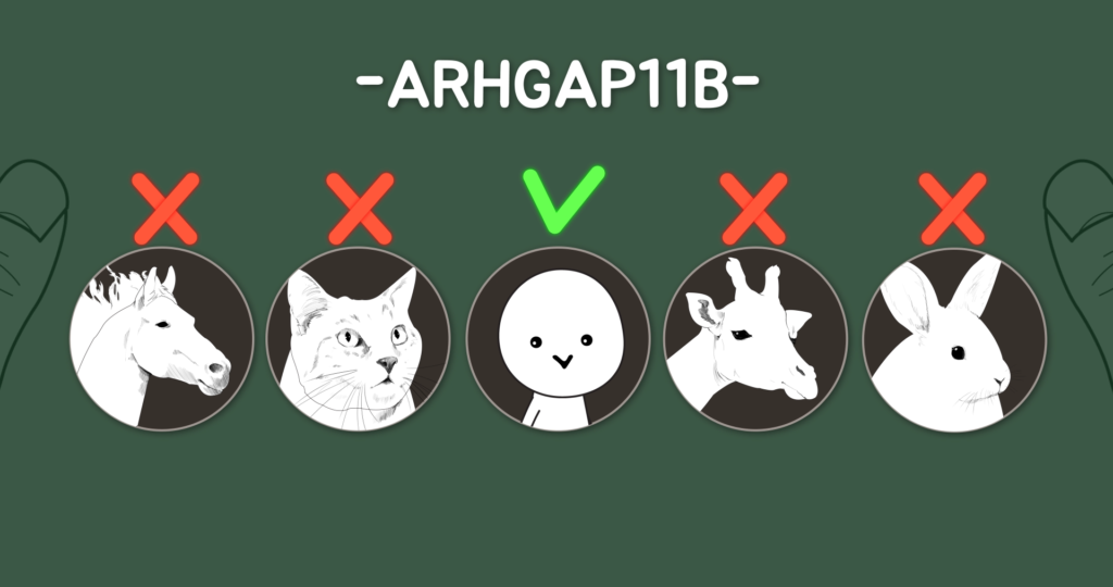 인간 원숭이 유전자3