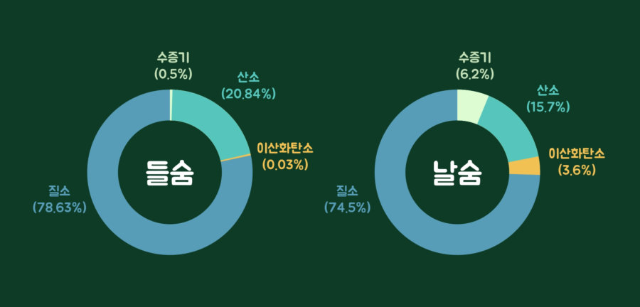 cardiopulmonary resuscitation 1