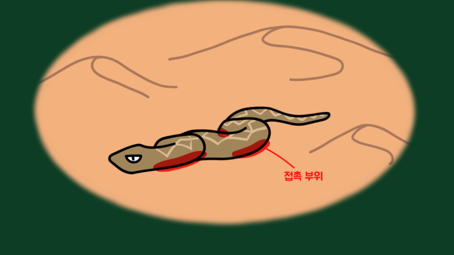 snake 7