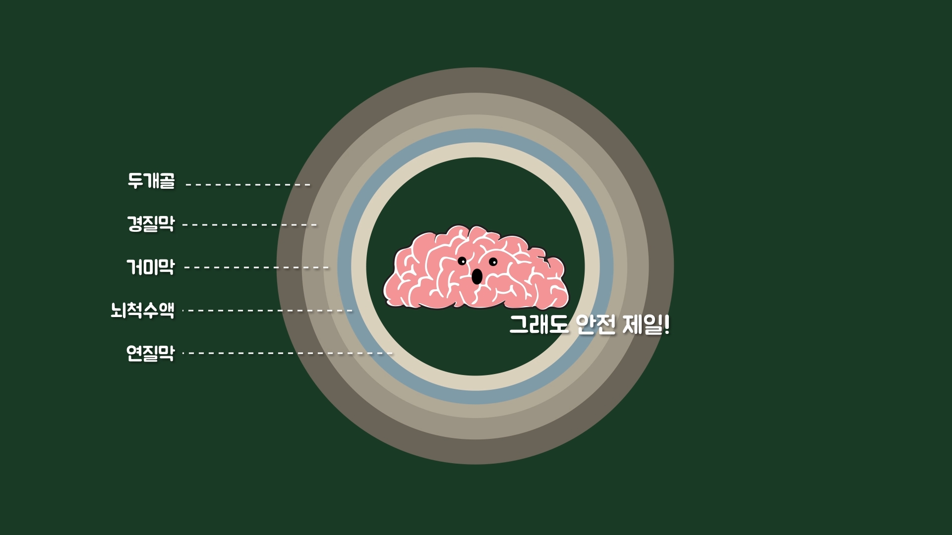 왜 턱을 맞으면 기절하는 걸까?