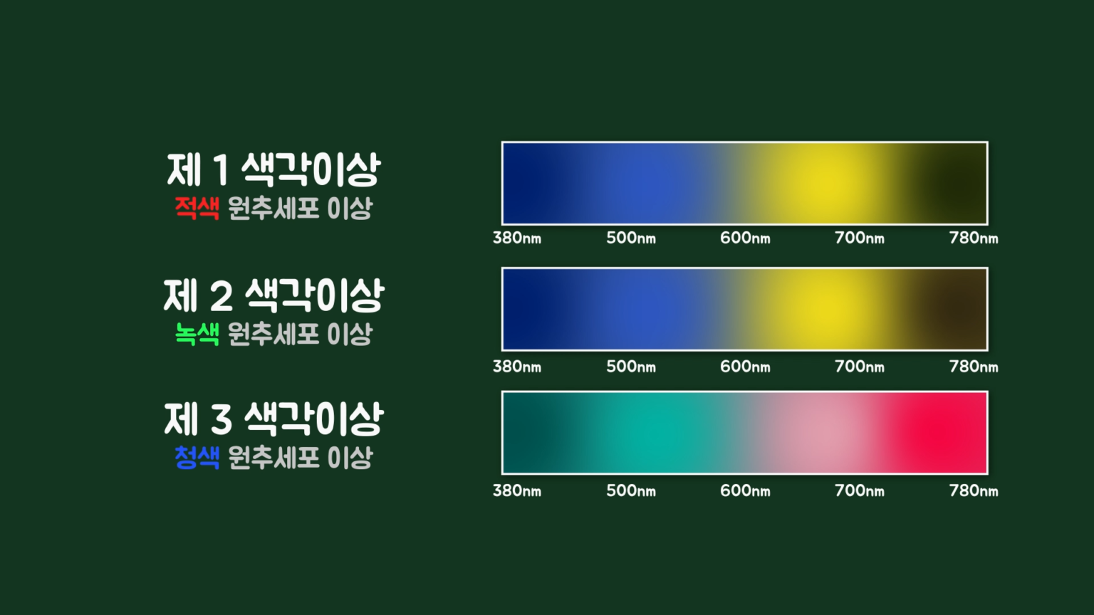 색맹·색약이 보는 세상은 어떨까?