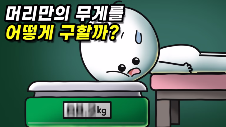머리만의 무게를 어떻게 구할지 묻는 사물궁이 영상