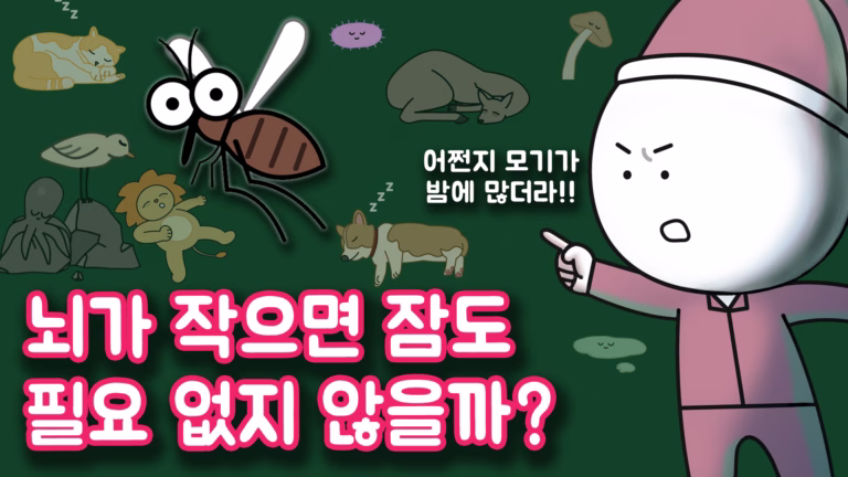 모든 생명체가 잠을 자는지 묻는 사물궁이 영상