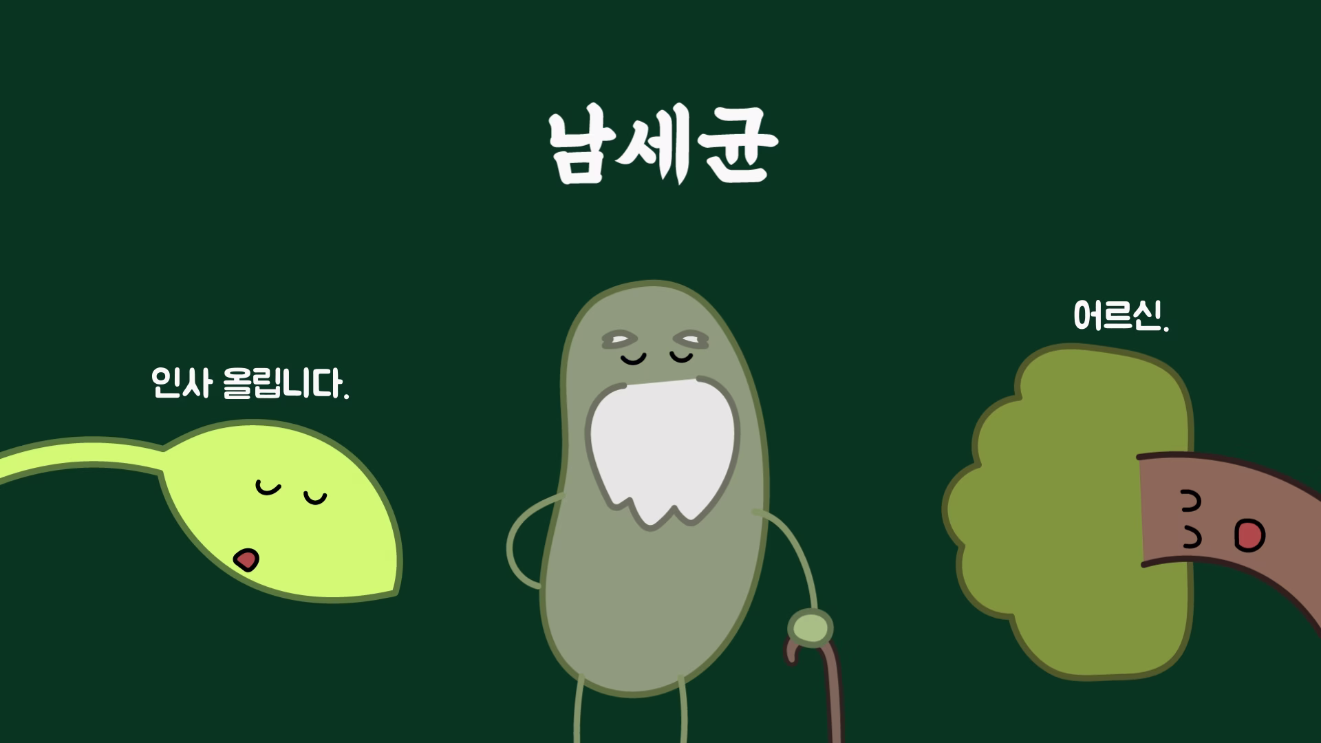 광합성과 생체 시계를 가진 남세균