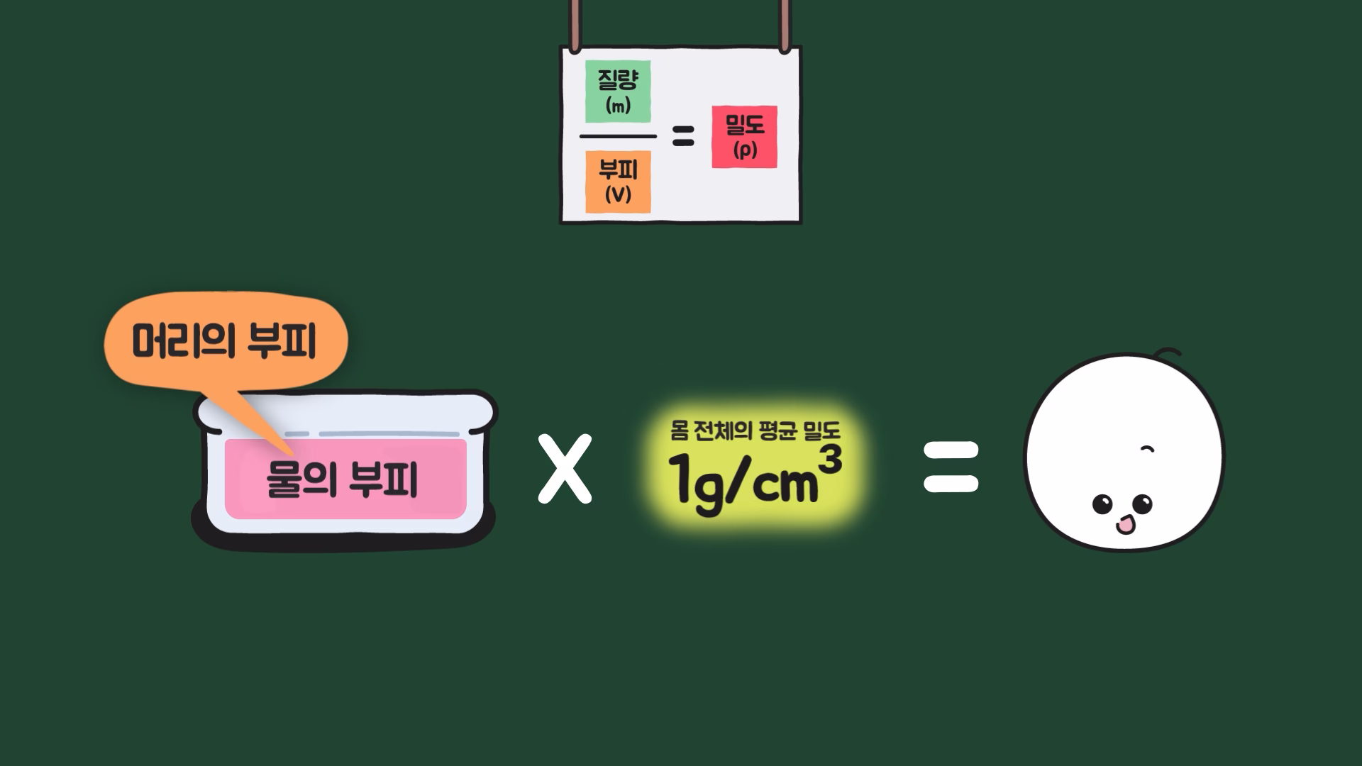 머리 부피와 평균 밀도를 곱해 머리 무게를 추정하는 식