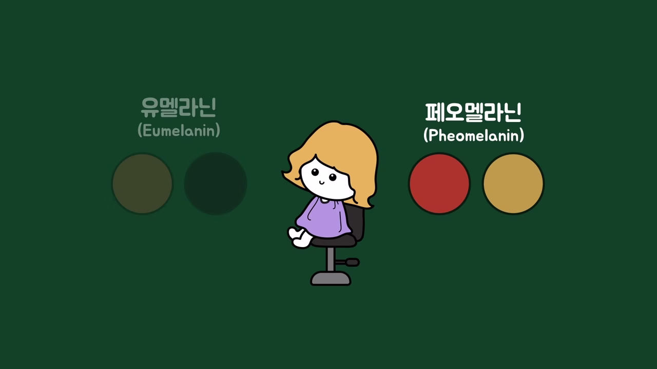 탈색 후 남은 페오멜라닌과 노란 머리카락