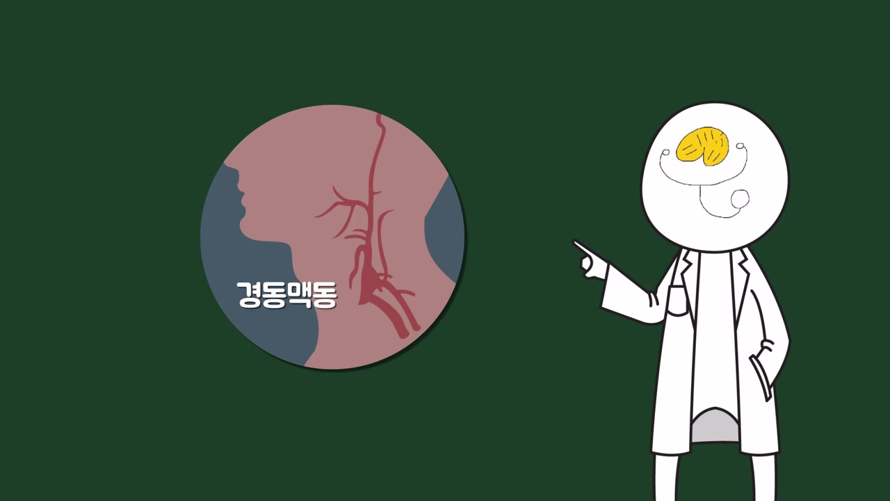 경동맥동과 기절 가능성에 관한 설명