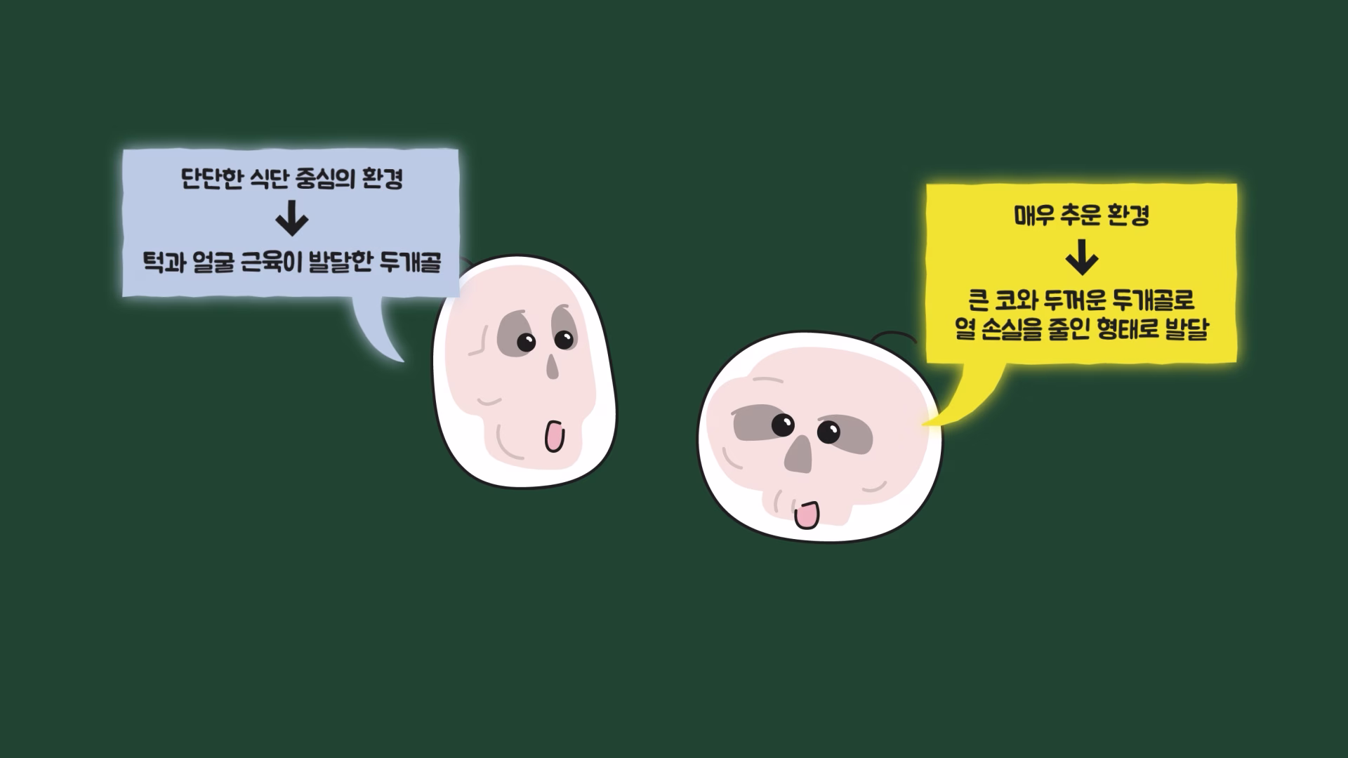 시대와 지역에 따른 두개골의 형태 차이