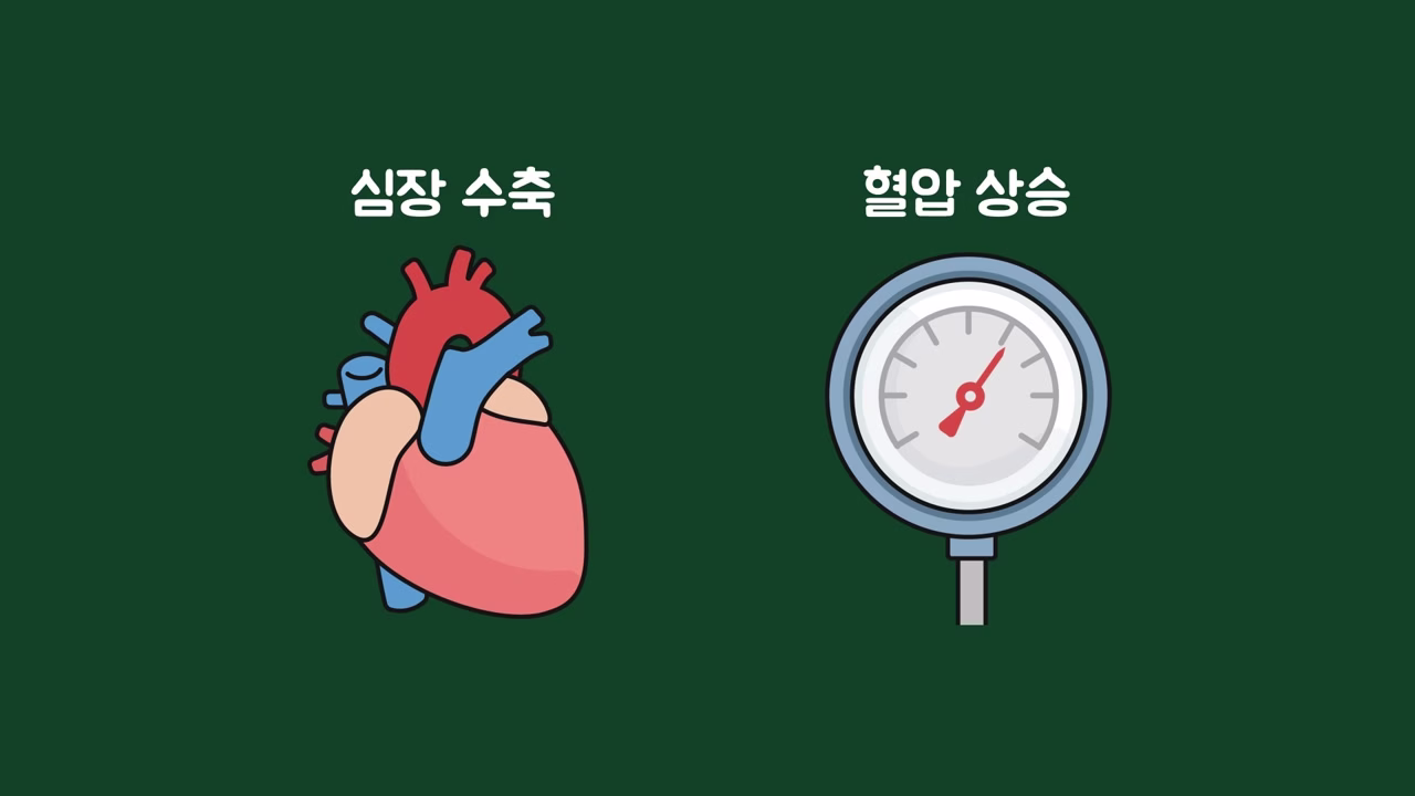 카테콜아민의 심장 수축과 혈압 상승 작용
