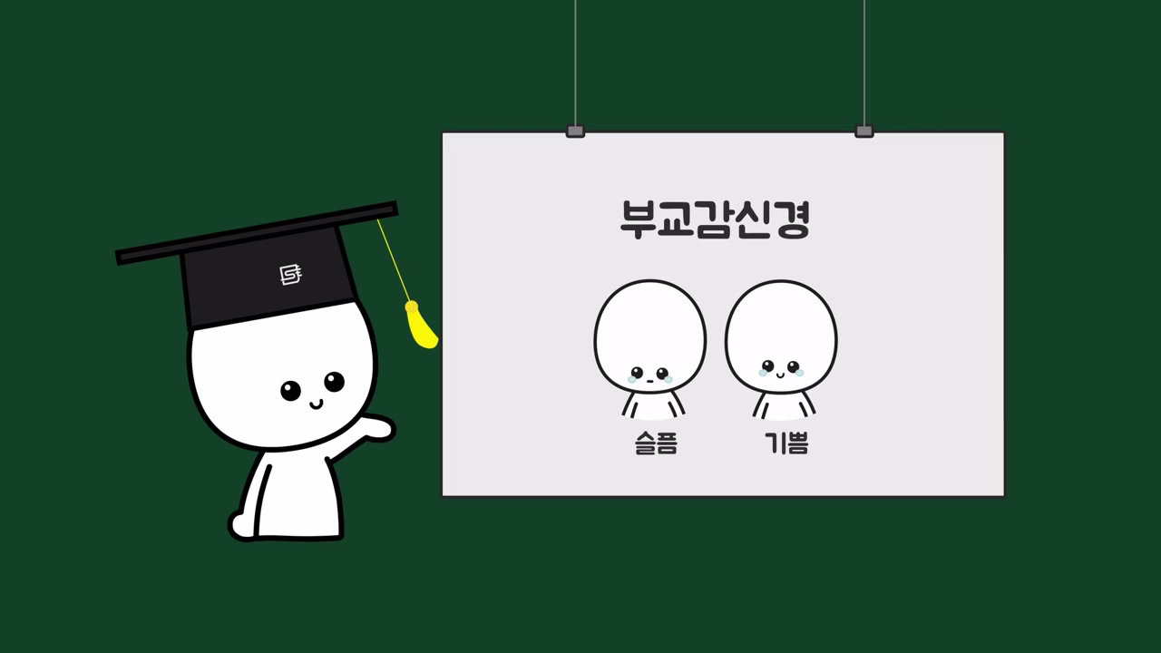 슬픔과 기쁨의 눈물에 관여하는 부교감신경