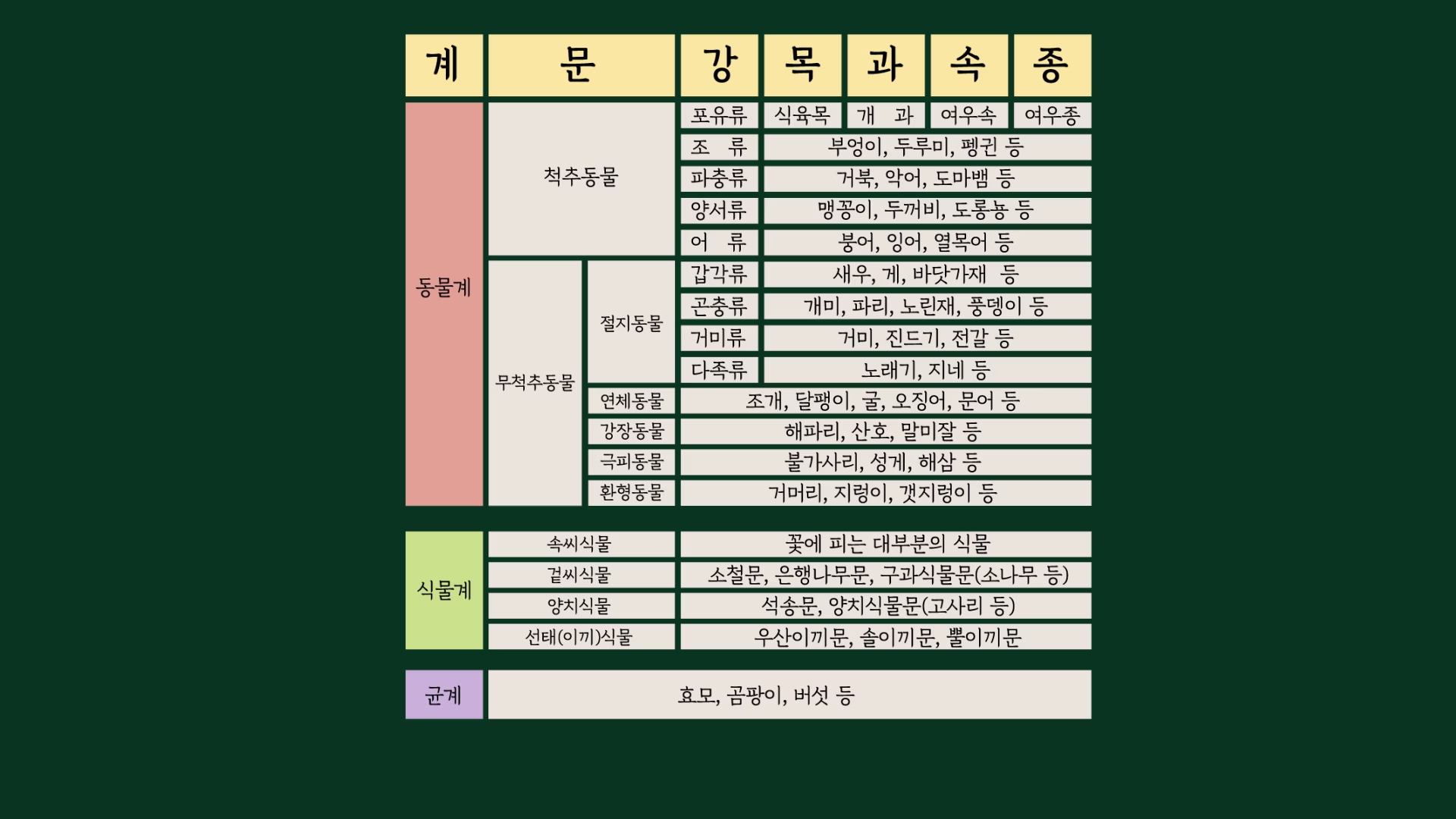 계·문·강·목·과·속·종으로 나뉘는 생물 분류표