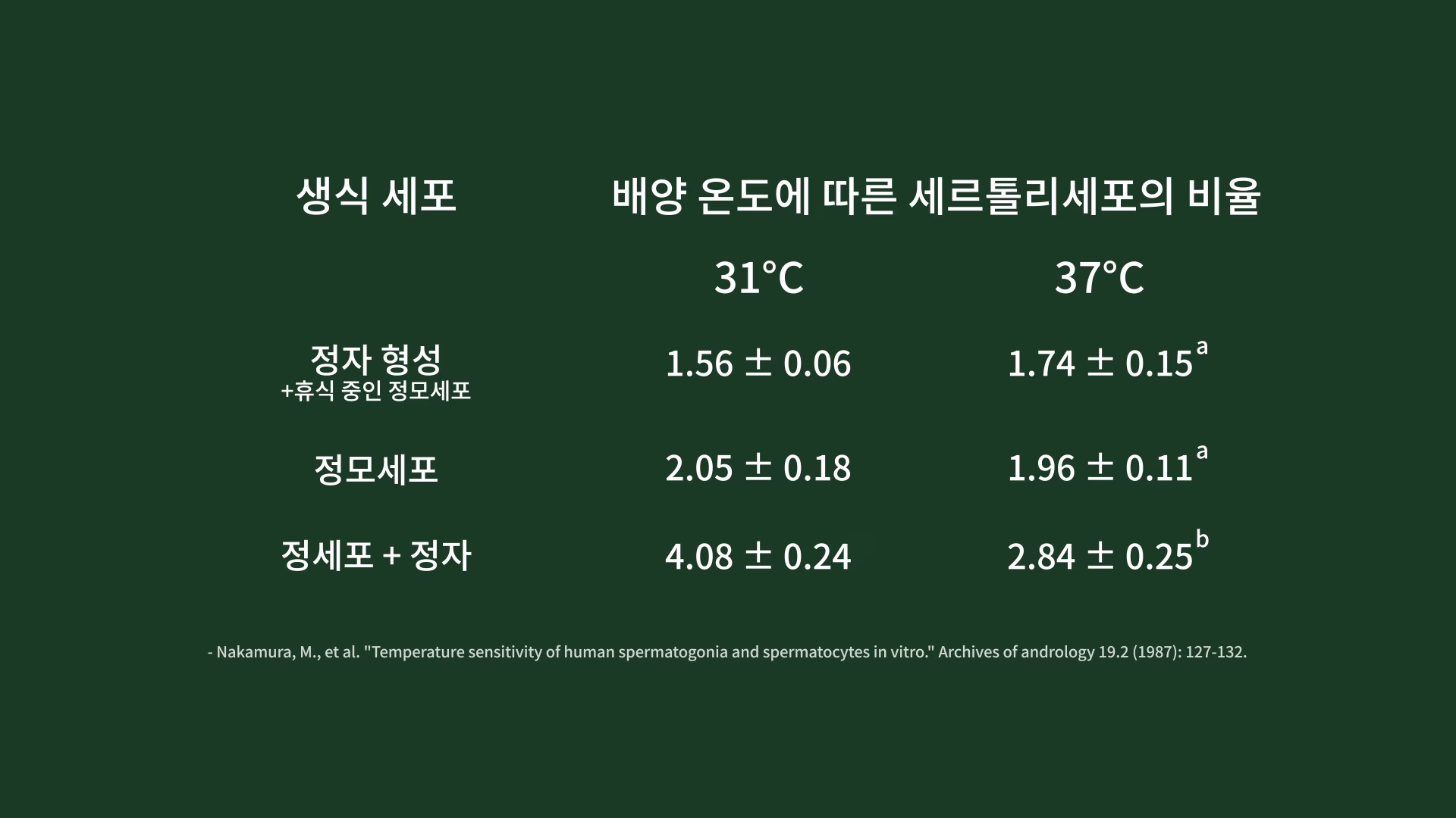 배양 온도에 따른 생식 세포와 세르톨리세포의 비율