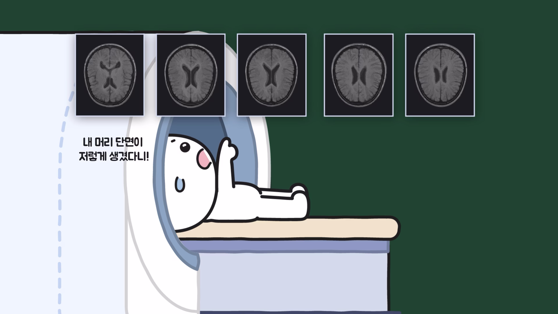 CT와 MRI 단층 영상으로 머리 조직의 부피를 계산하는 방법