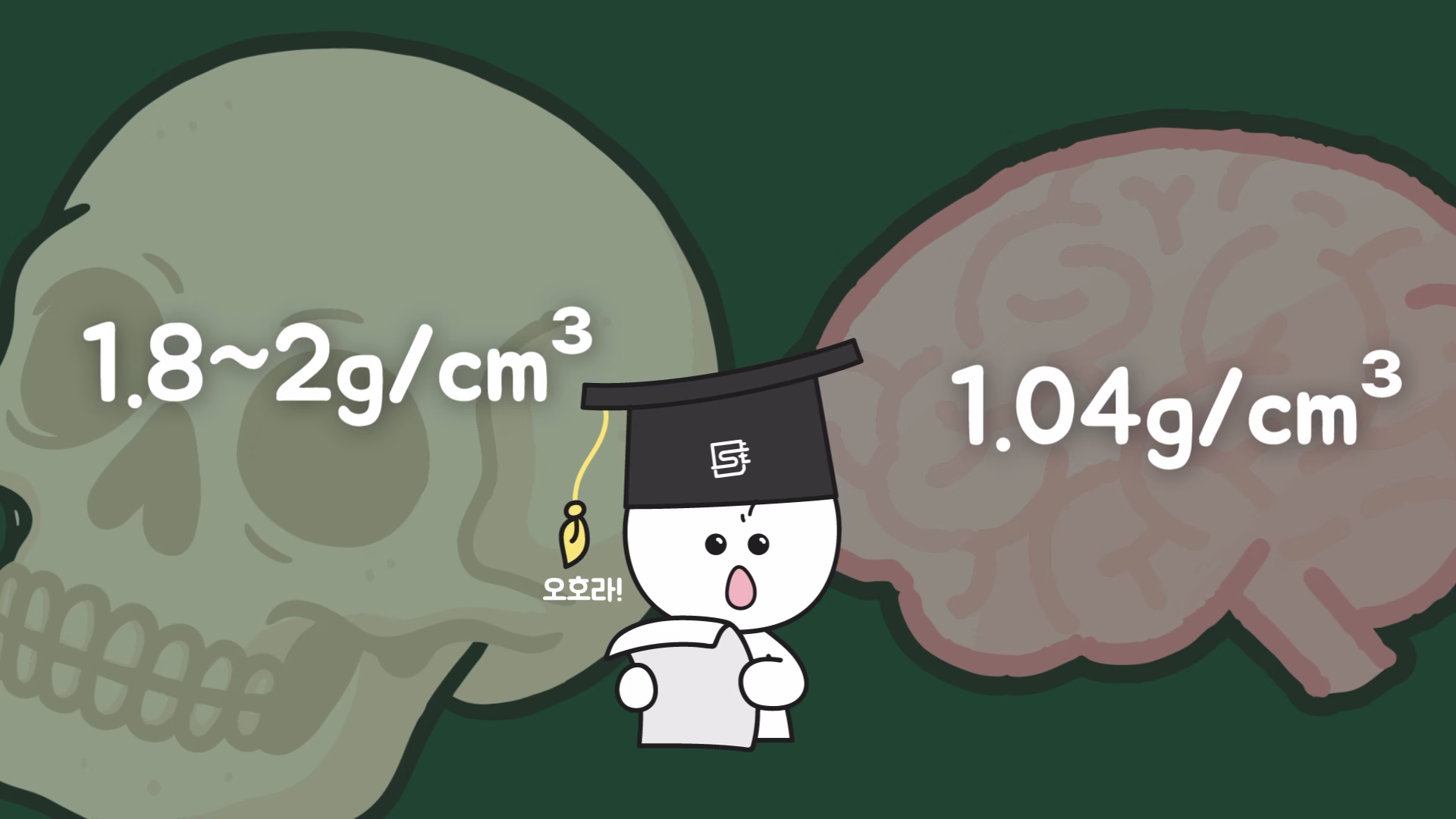 뼈와 뇌 조직의 밀도 비교