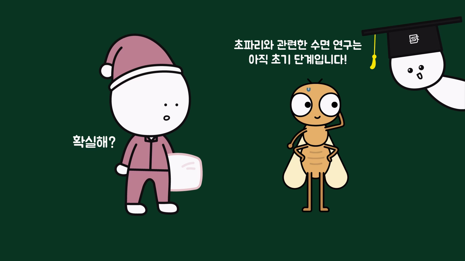 초파리와 인간의 수면 단계 차이를 설명하는 그림